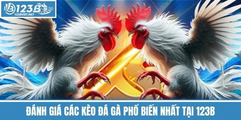 Đánh Giá Các Kèo Đá Gà Phổ Biến Nhất Tại 123b