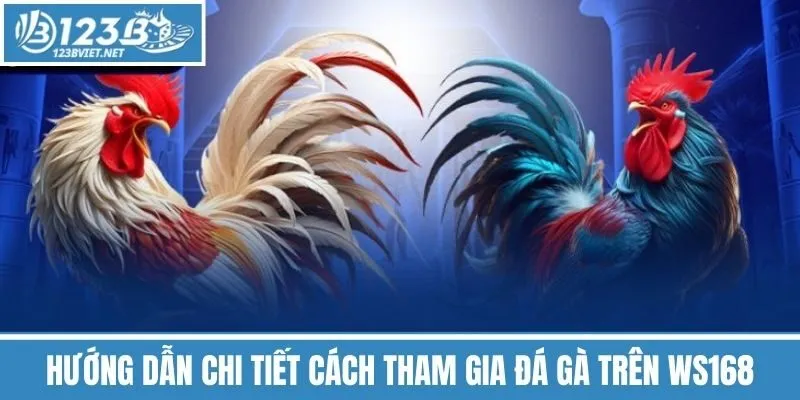 Hướng Dẫn Chi Tiết Cách Tham Gia Đá Gà Trên WS168