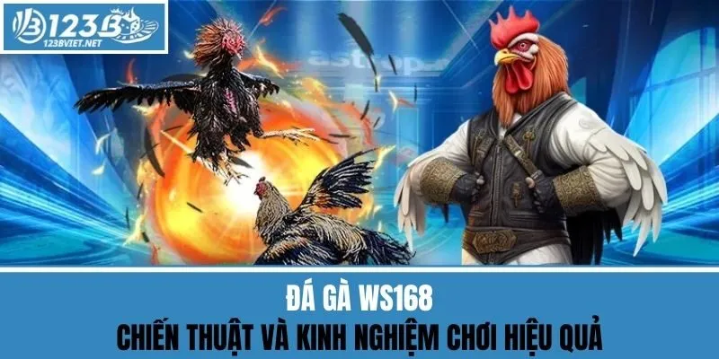 Đá Gà WS168 - Chiến Thuật Và Kinh Nghiệm Chơi Hiệu Quả