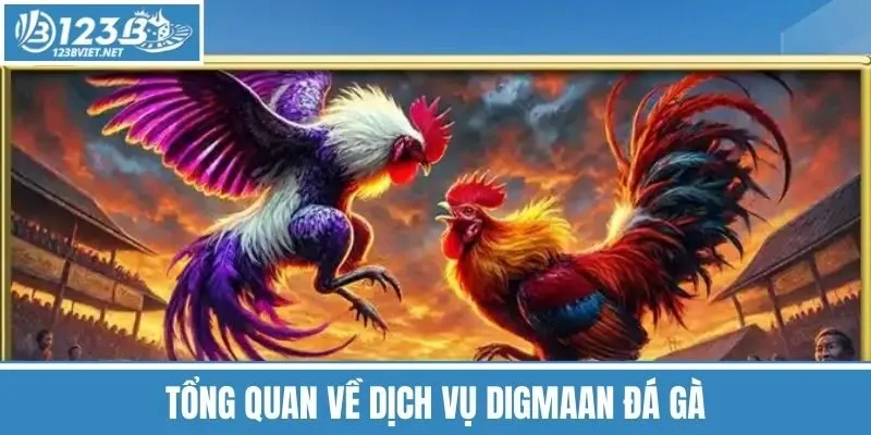 Tổng Quan Về Dịch Vụ Digmaan Đá Gà