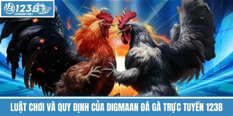 Luật Chơi Và Quy Định Của Digmaan Đá Gà Trực Tuyến 123b