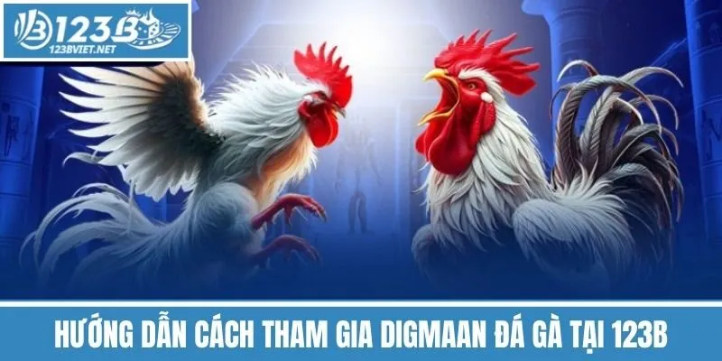 Hướng Dẫn Cách Tham Gia Digmaan Đá Gà Tại 123B