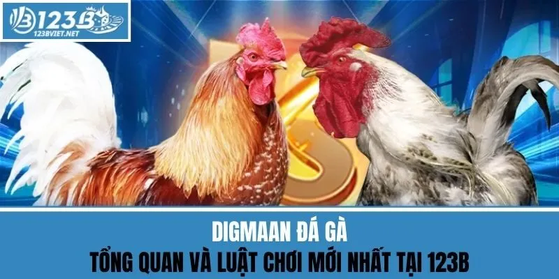 Digmaan Đá Gà - Tổng Quan Và Luật Chơi Mới Nhất Tại 123B